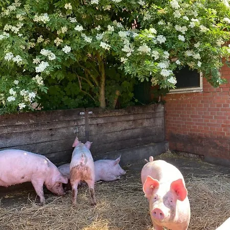 Wohnfass Fuchsbau Kemping *