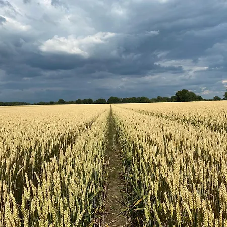 Camping Wohnfass Fuchsbau *