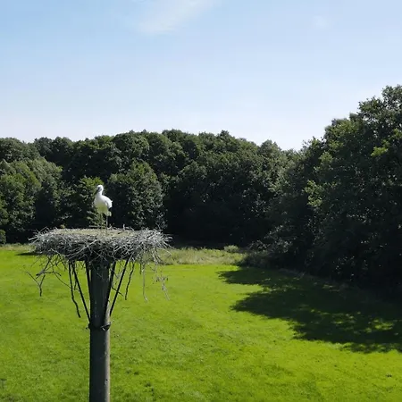 Wohnfass Fuchsbau Kemping *