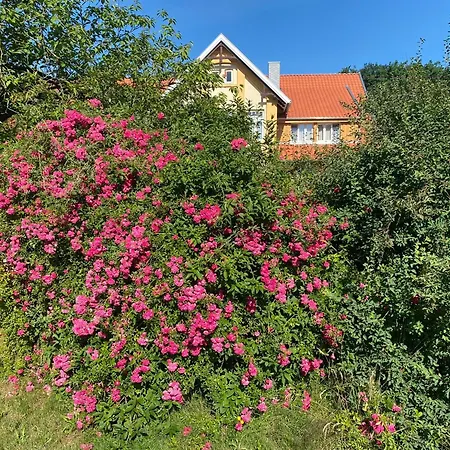 Wohnfass Fuchsbau *