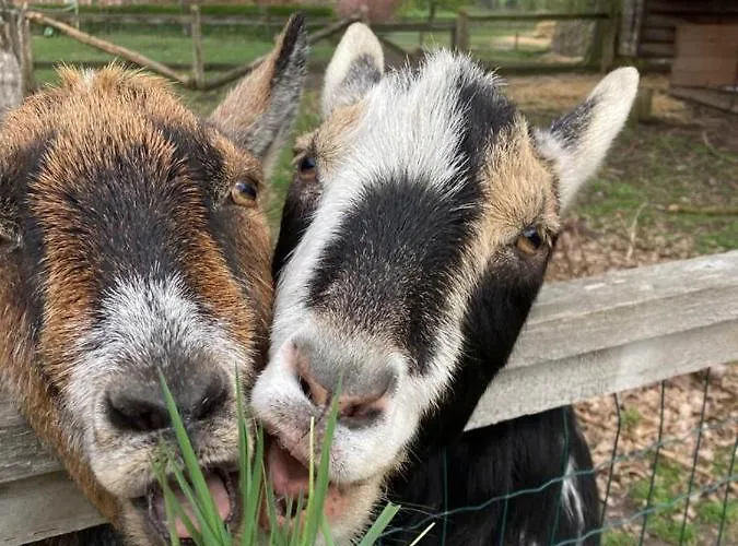 Fuchsbau Campingplatz