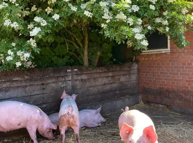 Fuchsbau Campingplatz *