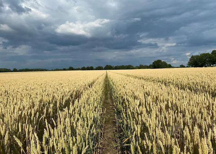 Campingplatz Fuchsbau *