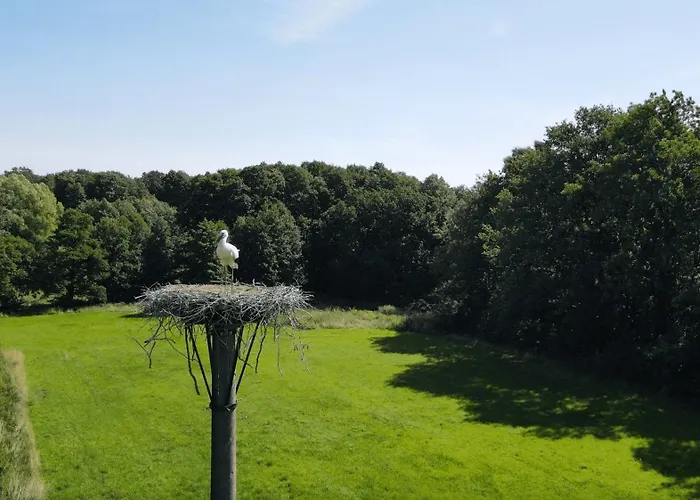 Fuchsbau Campingplatz *